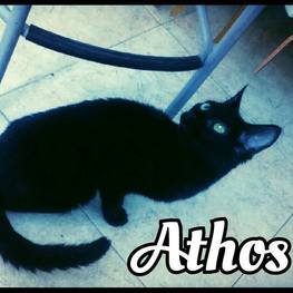 D 9dc68ed3 60bb 46ea a026 4dd20393fdc5