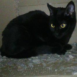 D e262414d b6cd 443f 912d d91afc00fa71