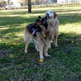 D c9a4a114 5790 4087 90aa 3ac7c5cb85bf