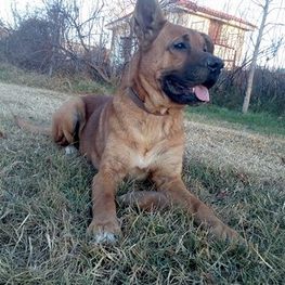 D 5e74686c 0e43 4e7a b5d6 a558a6162351