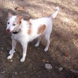 D 8a13be9a 2faf 4b8e 8cda 2355bc96f099