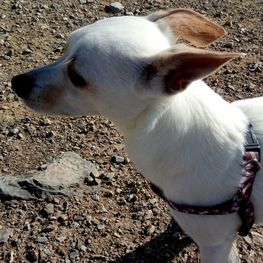 D 892960bc abc4 44fc aab0 3969a00f1fd3