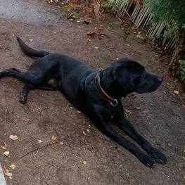 D 147da088 fa50 4f7b b461 c9e8abf969ed