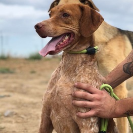 D f664a016 0c18 47d9 940a 247a0e193ced