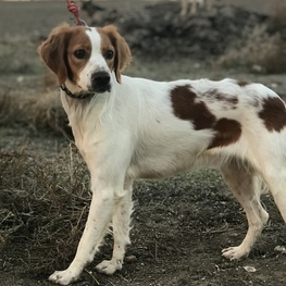 D cf075b79 20bb 4299 a614 29574542c9f0