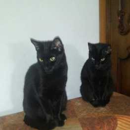 D c441bbb2 31ee 422a 9441 05056acd5b9f