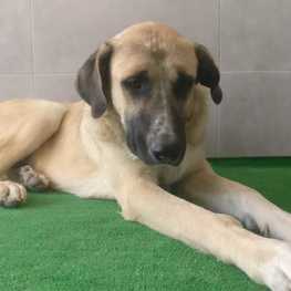 D aa785fcc 1779 4be4 a818 5702d54dd27b