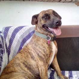 D f94135ef 5fb5 44c4 94aa fc660bb0939c