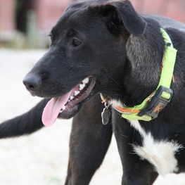 D b285fc8c f676 42cb 9e94 761a36765767