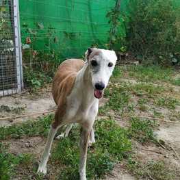 D 238201f0 3ba0 4507 98c8 996d03a4fda7