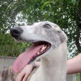 D fc57387e c2d8 44a8 abbb 756085f46583