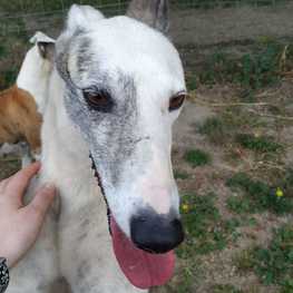 D 696e8cf5 c58b 4cc1 a084 8dc7aa2f8c94