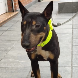 D aad43034 e35a 40f0 bc1b 7b7d9a66c5ee