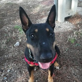 D 201fcc5f 0e7f 4778 9668 d2c10e9bdc97