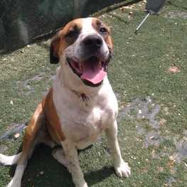 D 505d35fd d4a0 4f9c 96b4 39d8aef8cbe0