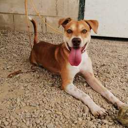 D 08f5378a e3d6 40d9 b683 b24e236ea23c