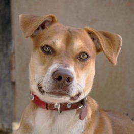 D b262262c 5f03 470b 8a6c fc95236e342e