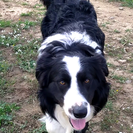 D a06ea434 11df 4e0c 8c06 83921118d2e4