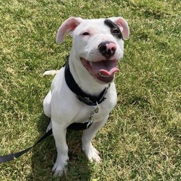 D 3658add5 a5f5 4781 8496 13731f1a614d