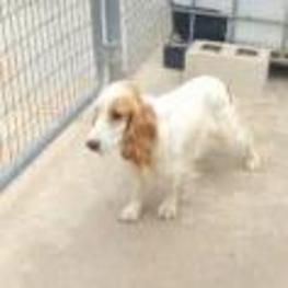 D 28daa12c ef74 4332 85e7 356b64c4deba