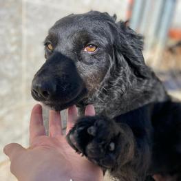 D 164a8086 dd32 408b 8bc2 4bd8cb40e673