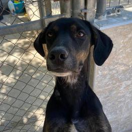 D 4e78228e b370 43ae afa8 41d021f3a066