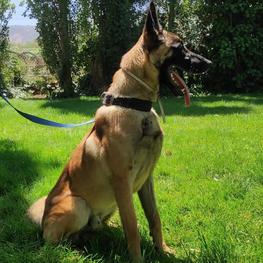 D c090a4a4 bf93 48bc 86b9 4333b39f54f7