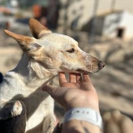 D ce52047d b4b4 49a0 b7a2 9e91a1b92548