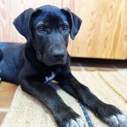 D a48f2eb0 7d14 44e4 bcb0 4701e8b9f27b