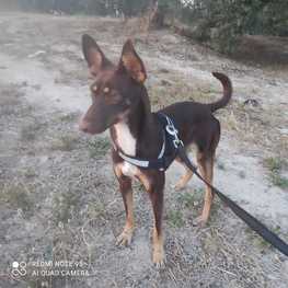 D b8d92f15 1d58 4a8f 9cf3 62dc9430747e