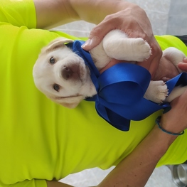 D 42e035d7 6cef 476d b901 49ec8c6f6abd