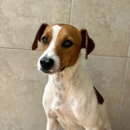 D 0a0513aa 48bf 4a89 8998 5420cdcc0a6c