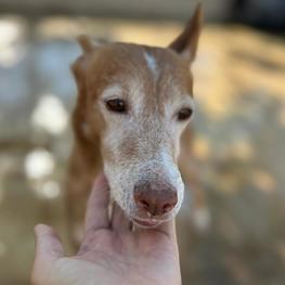 D ac97e5e1 cc0d 45b2 8e11 769e41d0f70e