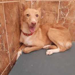 D 027cb85d 5af1 4b36 a1d1 edd7e1202f61