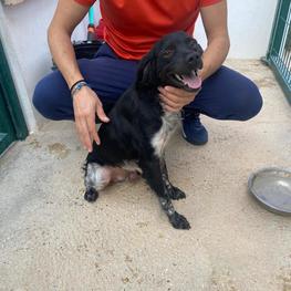 D 244c92a9 fd0d 4df1 a7a1 1ae59c777594