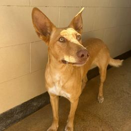 D 9071c83c 9c79 4b1d 8b60 f93d650a7620