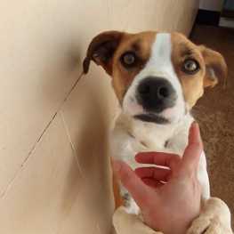 D 11bf7778 70b7 45aa ad6a 2e313a8e1ebe