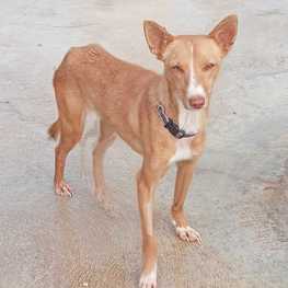 D 8777b06a 5bdf 4eae 8f7b aa375362dac3