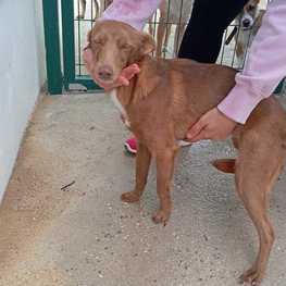 D 61cdece5 c7cb 4776 ba57 963f576a11a6