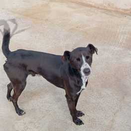 D 03cd658f 413f 453b ac61 8cc6d5ff74d7