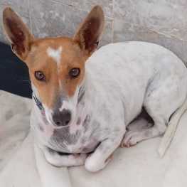 D c9cfd460 f8ea 43cd 9bdb f6775f674d5a