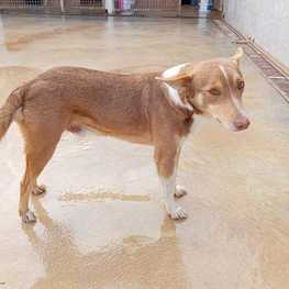 D 743b5a4d a3a4 4261 8290 4e14d9766c67