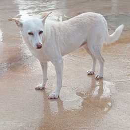 D 0b94823d 96d0 41d0 8a17 2a5d18b53888