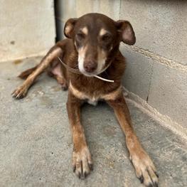 D 09998925 faaf 4993 91dc 712d6a11664a