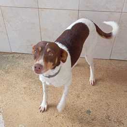 D 4f6bd982 846f 4ac4 aec5 9bd6cbcb3ce2