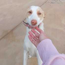 D 084ea745 45b5 44e6 a29c fc78758c7086