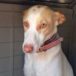 D b0203278 6f3c 4c85 9134 a1ce74b46d01