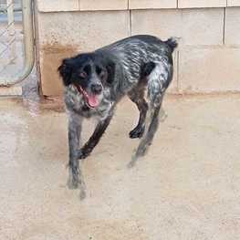 D 96b0fd6f ffde 4bab 9141 ee3a6d4f228f