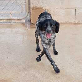 D f87d3cb9 d742 4a01 9454 e1b4d36c3b7e