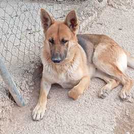 D bc3a5990 1cca 4b78 83a9 04ee8ef8dfac